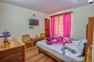 Hotel Diamond Manali