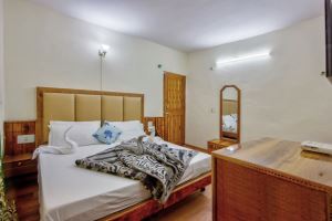 Hotel Diamond Manali